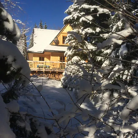 Dağ evi Domek Pod Sosna Zakopane