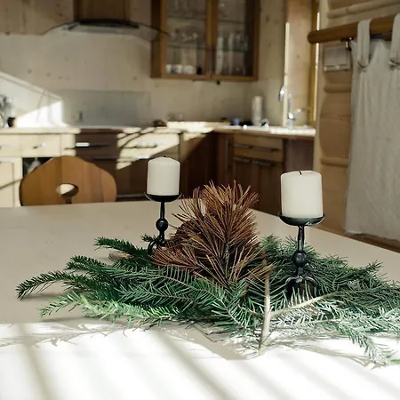 Domek Pod Sosna Chalet *