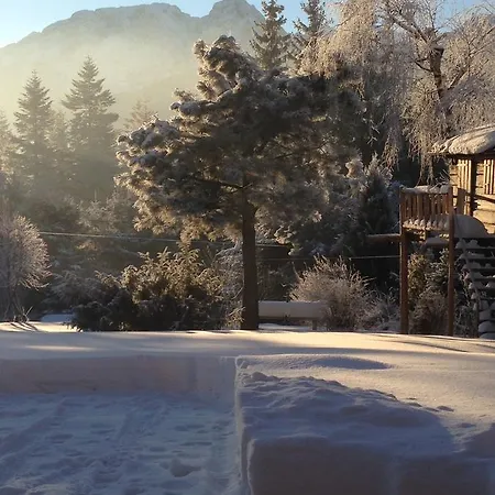 Dağ evi Domek Pod Sosna Zakopane