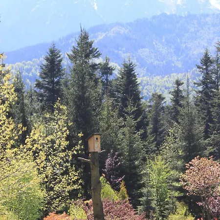 Domek Pod Sosna Zakopane